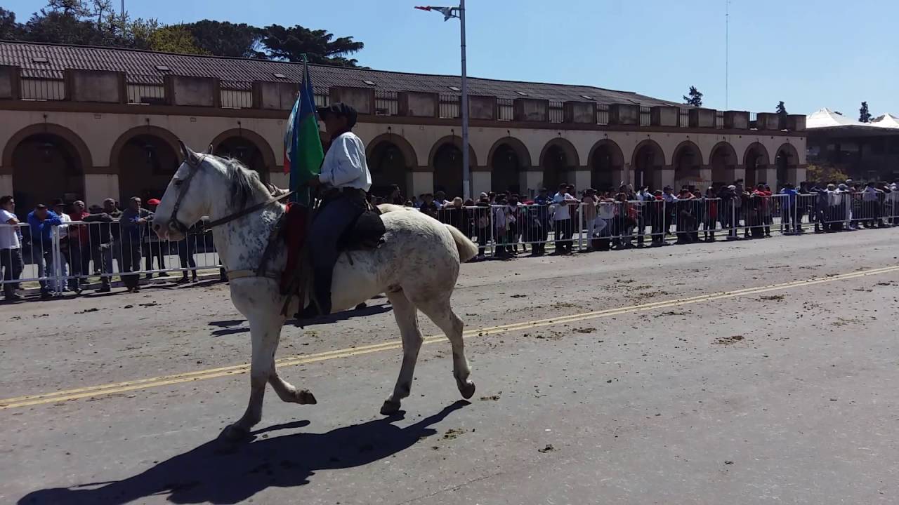 Peregrinación Gaucha