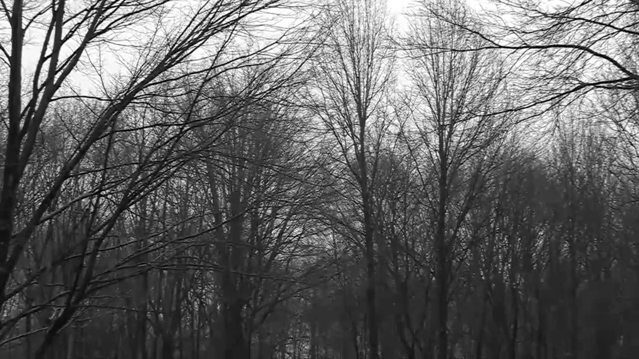 Canon XHA1 Monochrome Test