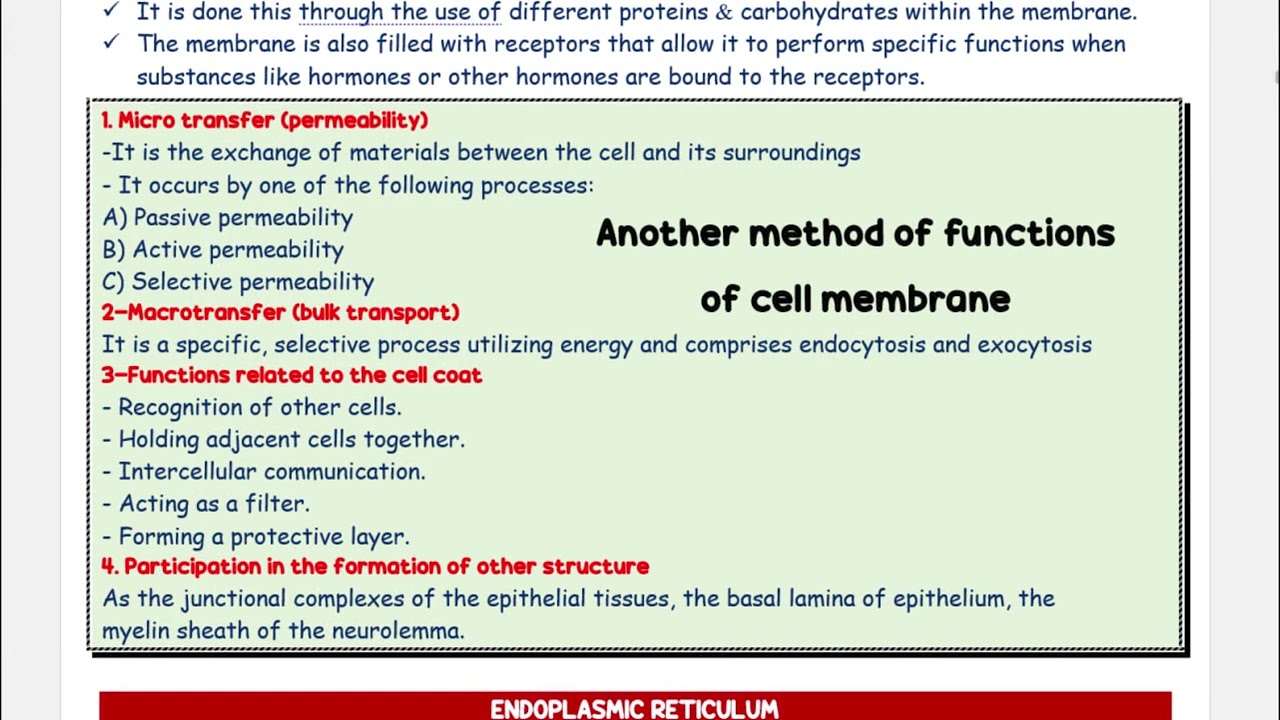 Functions Of Cell Membrane | General Histology