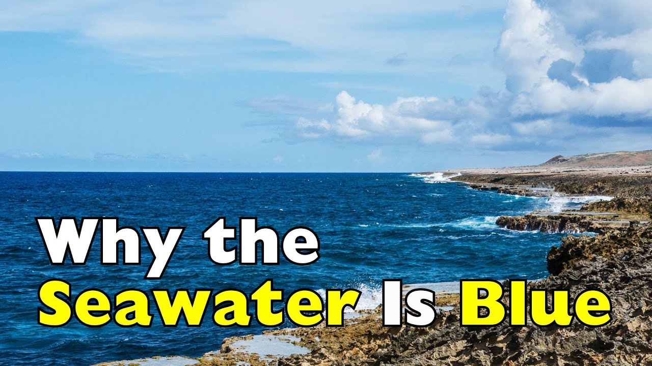 Почему океан синий (дело не только в небе) [ID2206]