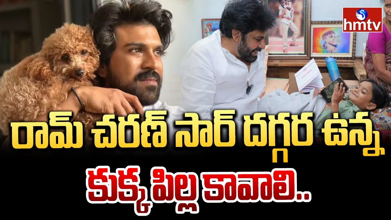 రామ్ చరణ్ సార్ దగ్గర ఉన్న కుక్క పిల్ల కావాలి.. | Pawan Kalyan Meet his Little Fan Niranjan | hmtv