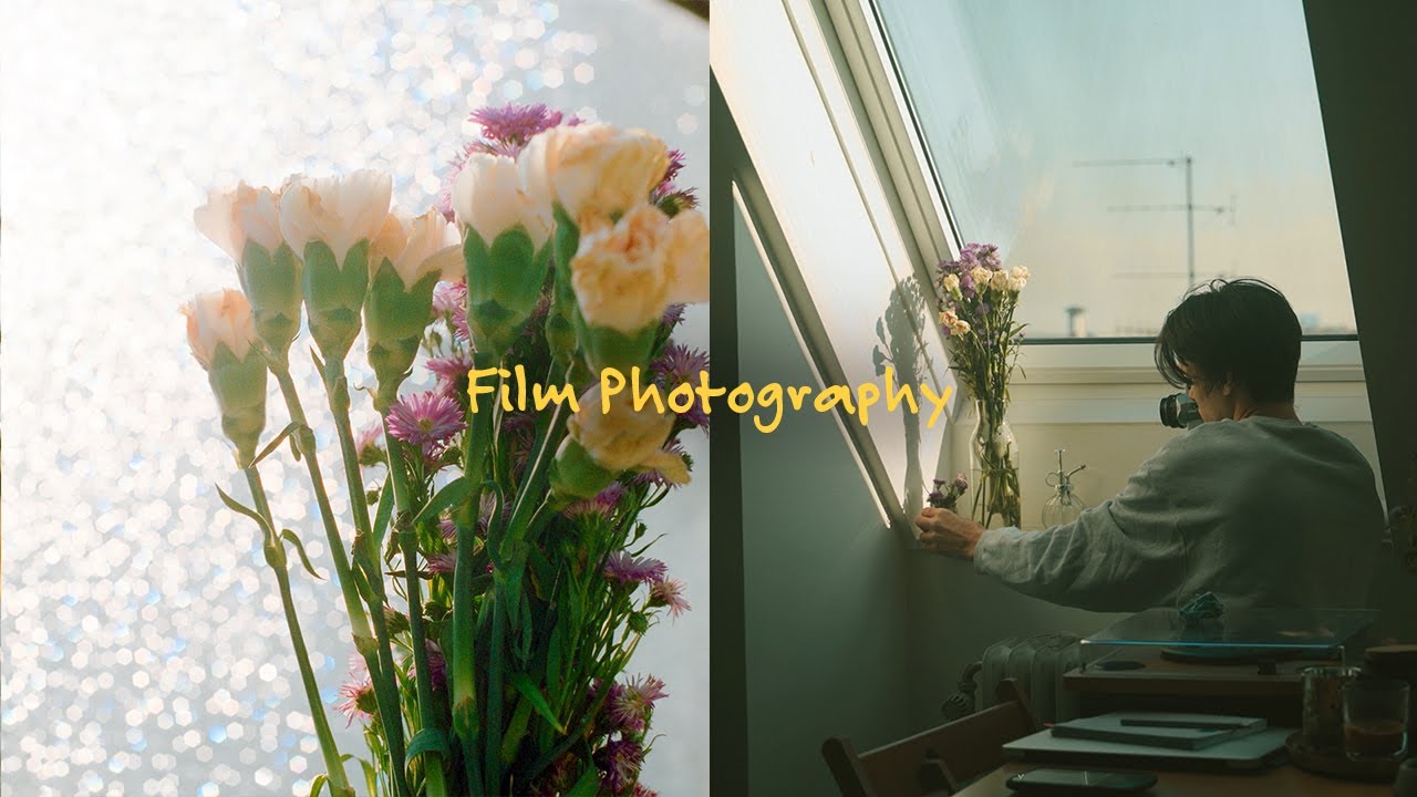 Sunny Mornings and Flowers on Film - FujiPro 400H