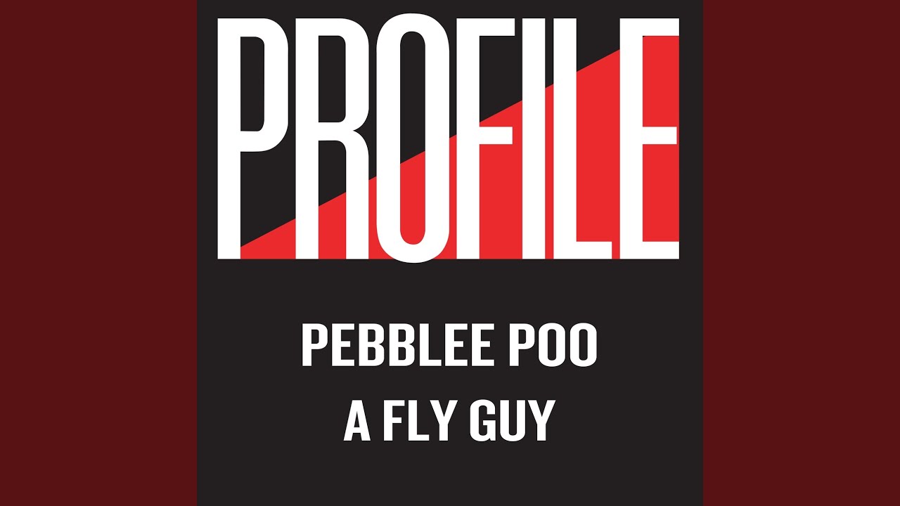 A Fly Guy