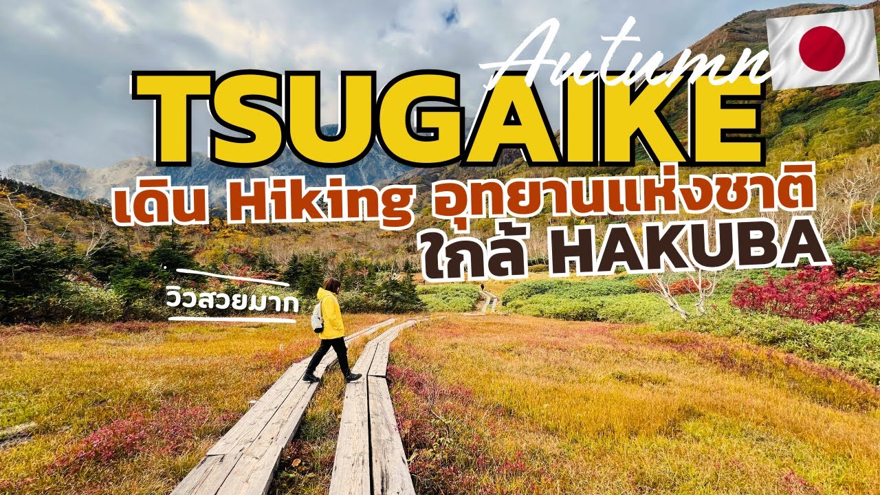 【Hiking】อุทยานแห่งชาติญี่ปุ่น🇯🇵 ใกล้ Hakuba ”Tsugaike Nature Park”  วิวอลังจังหวัด Nagano | ＃栂池自然園