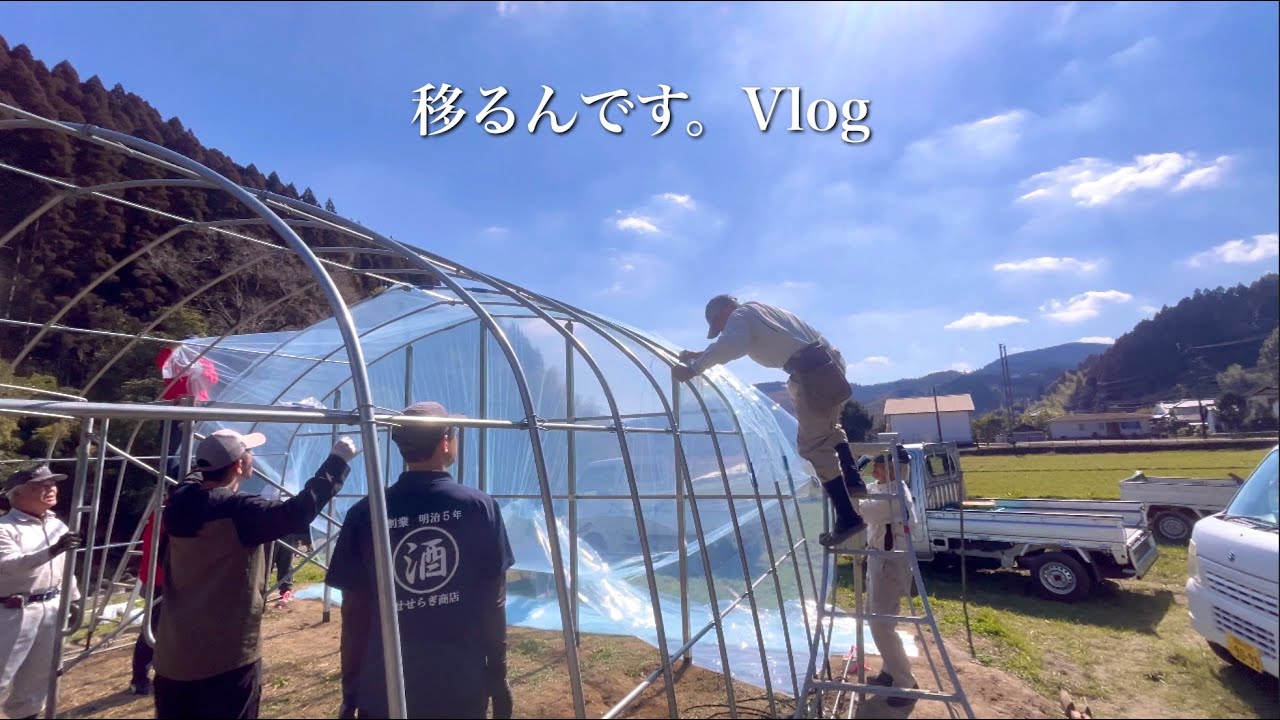 ハウスにビニールを貼りました