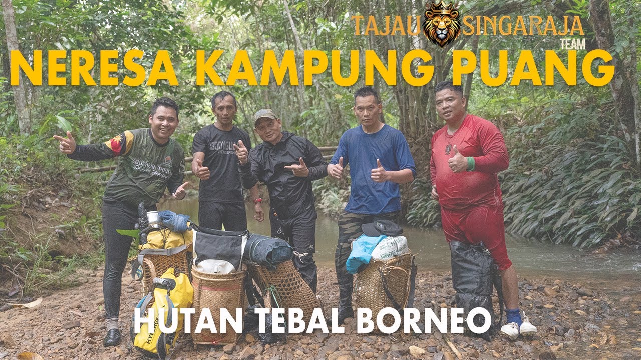 Hiking & Camping Di Sarawak Borneo/Jumpa Sarang Babi Hutan/Populasi Babi Makin Bertambah