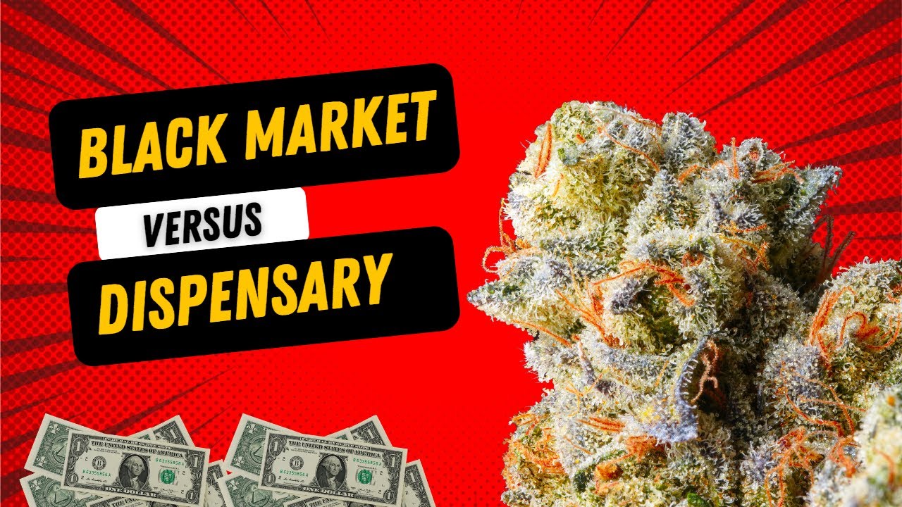 The Truth About Black Market vs Dispensary Cannabis
