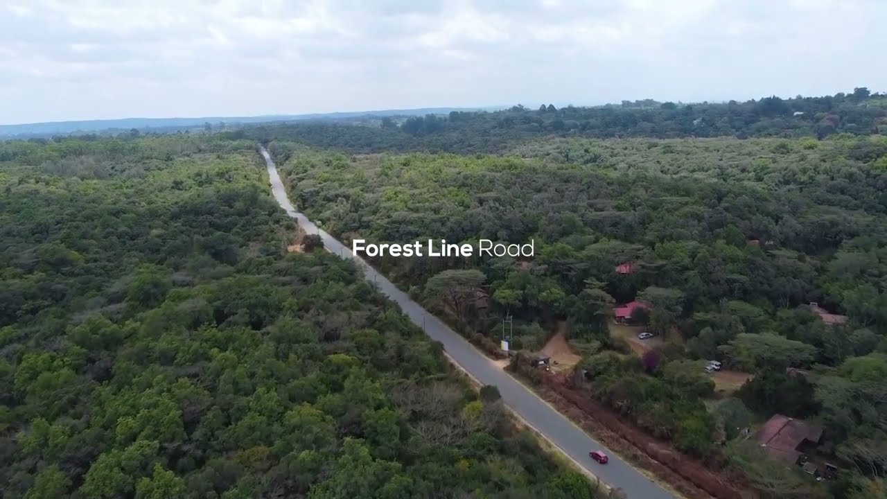 Oloolua Forest in Karen