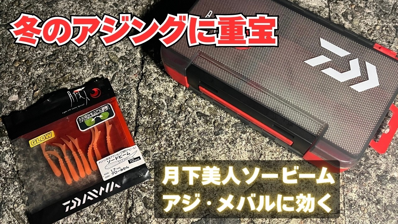 【アジング】春はもう少し？アジとメバルを狙う