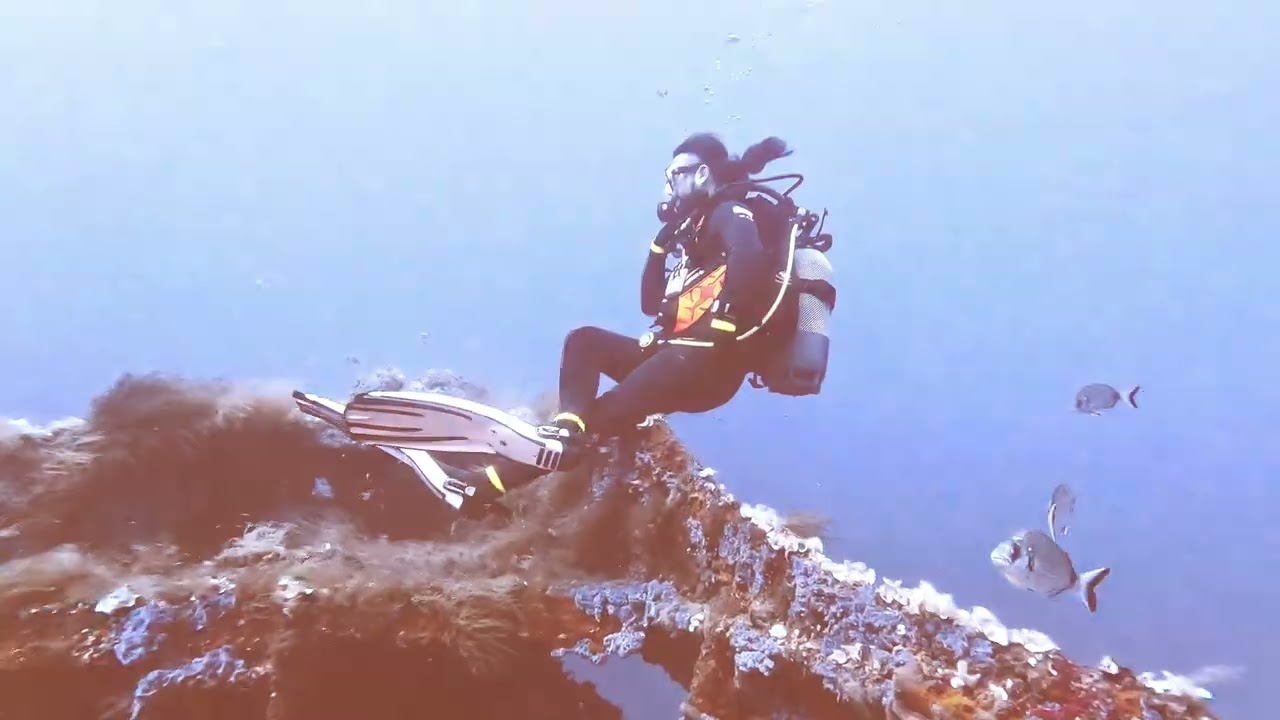 [Corse] Épave de l'Alcione - A Madreperla - 1 Août 2025 #plongée #scubadiving #Épave #Corse
