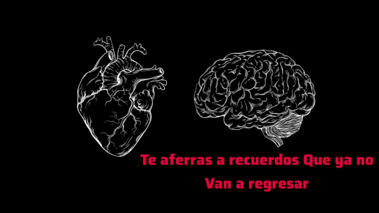 CORAZON VZ MENTE 🫀🧠❤️‍🩹🎶🔊