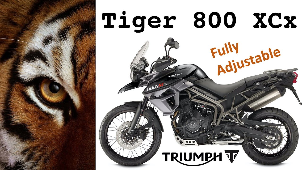 Intro 2 Clicks Out: Triumph Tiger 800 XCx Suspension Setup