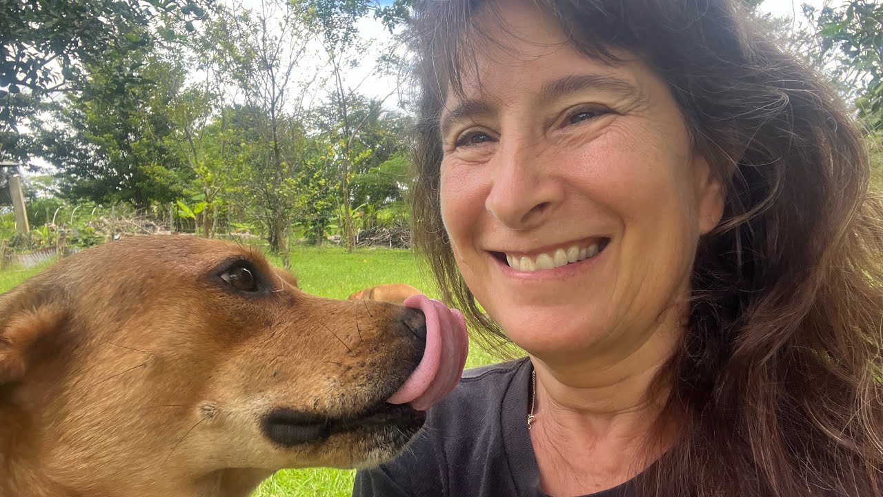 Жизнь на ферме в раю: повседневные дела на нашей ферме в Панаме