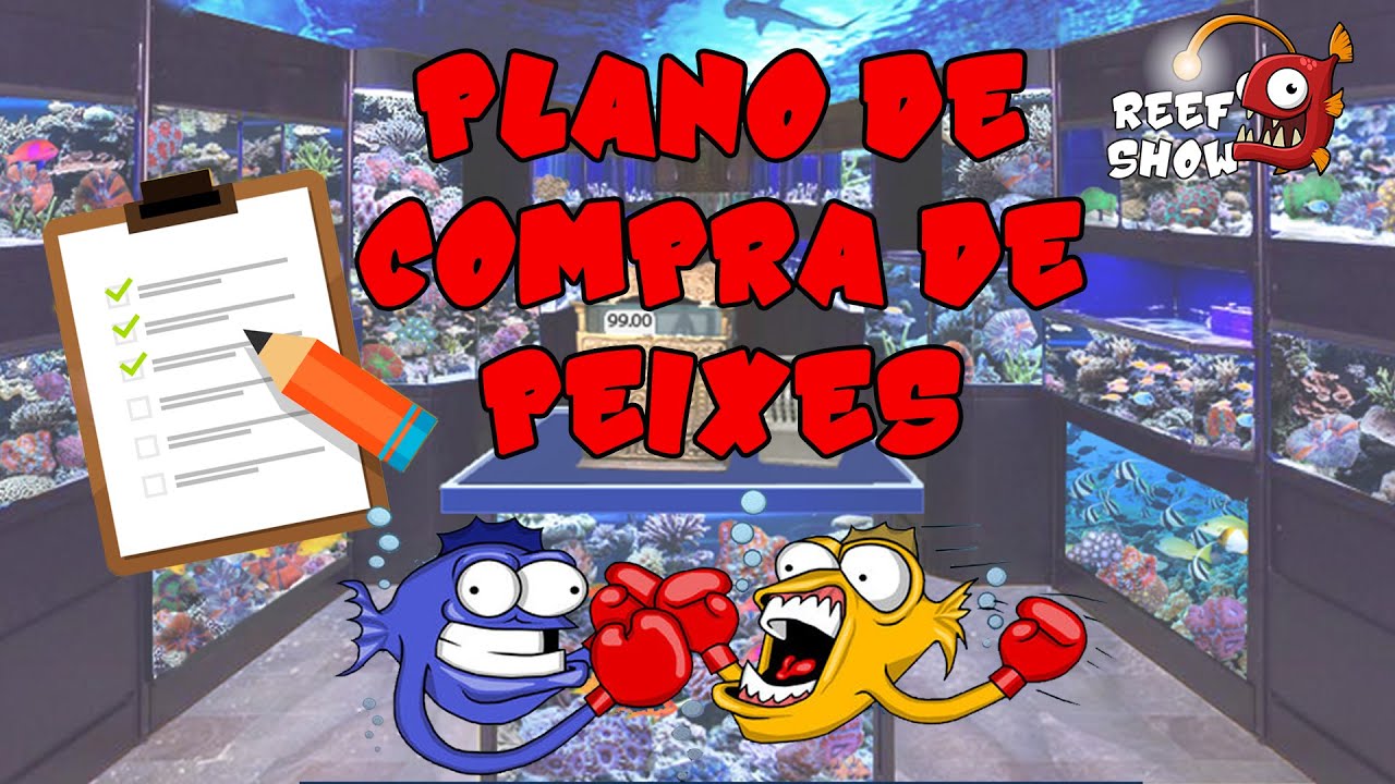 NÃO COMPRE peixes para seu aquário ANTES de assistir esse vídeo! PLANO DE COMPRA - Reef Show #55