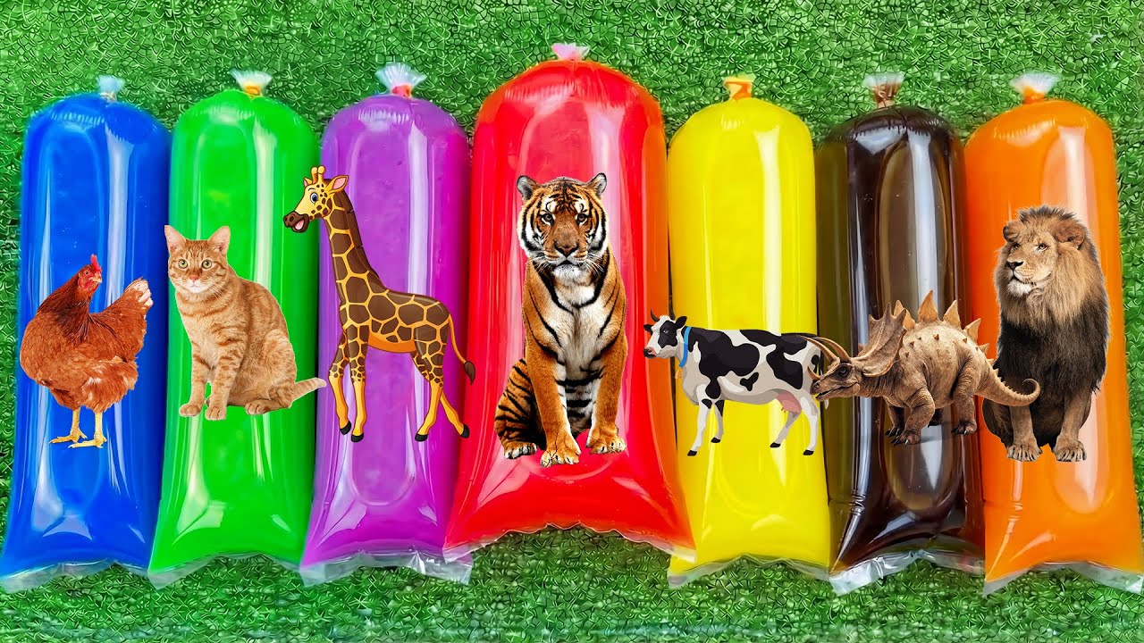 Wadidaw UNBOXING Hewan, Sapi, Ayam, kucing, harimau, Singa, Jerapah, di dalam plastik warna-warni