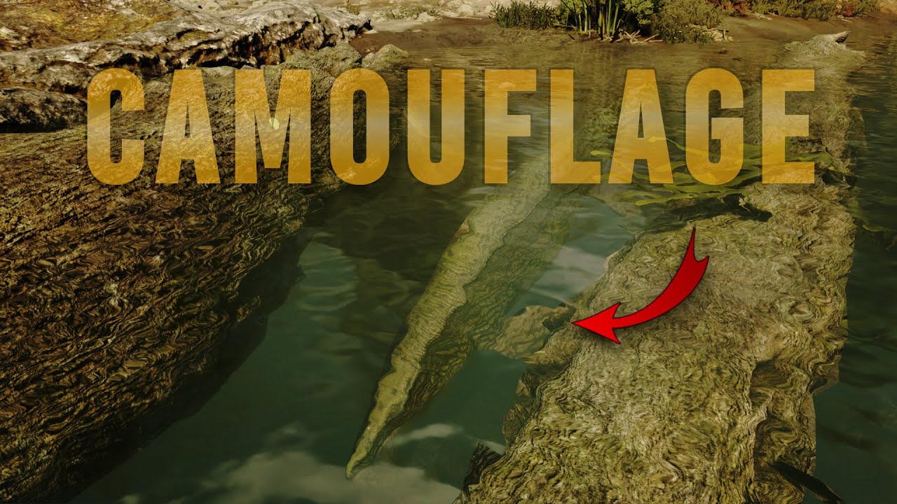 The Swamp Tylo Experience...