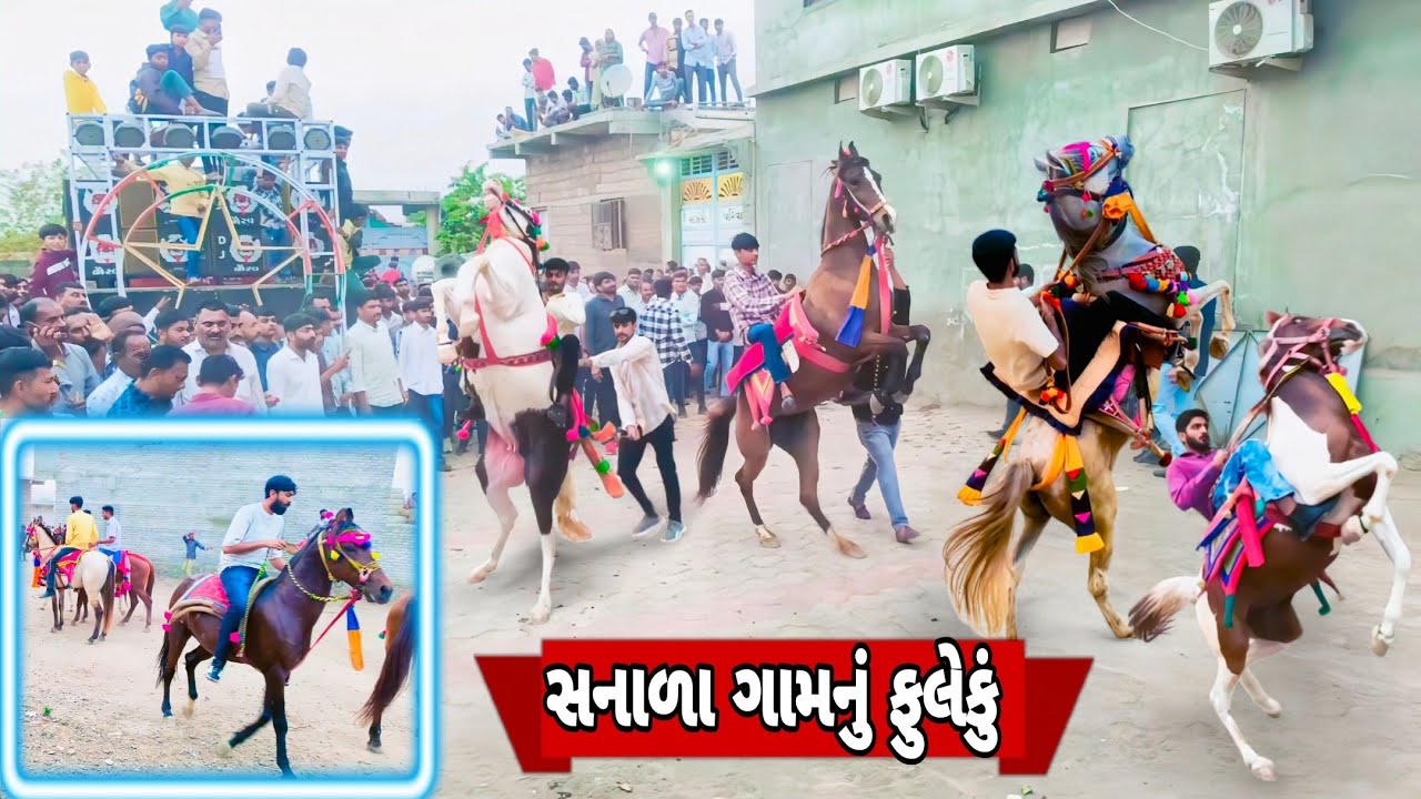 સનાળા ગામનું ફુલેકું|@ak_banna|FULEKU|TORAN|KATHIYWADI GHODA|HORSE POWER|GUJRAT HORSE|HORSE LOVERS|