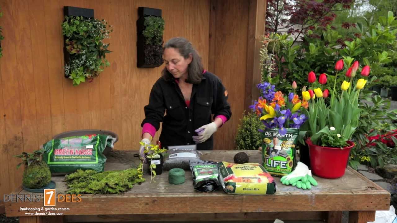 String Garden Tutorial - also known as Kokedama or Moss Balls