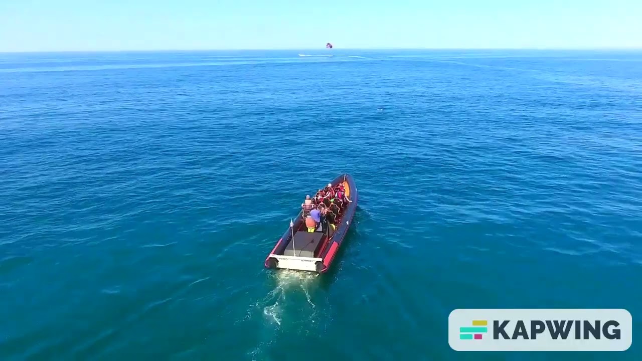 Dolphin and Benagil Cave Tour from Vilamoura