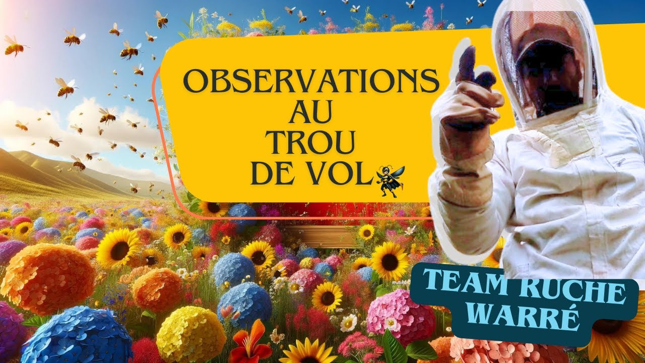 Comment observer vos abeilles sans ouvrir la ruche ! Observation au trou de vol