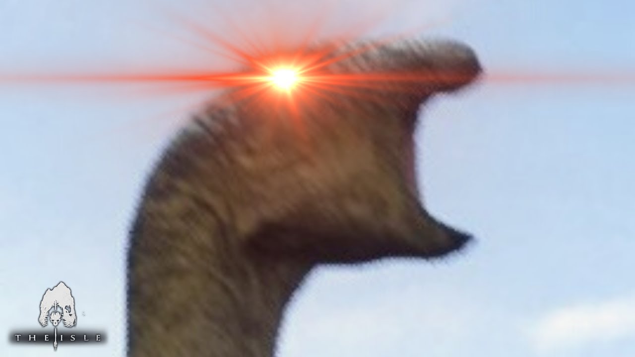 GET DRYO'D
