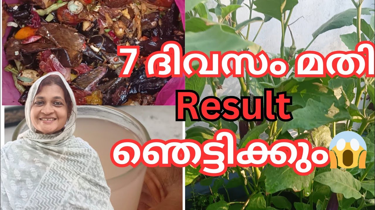 അടിപൊളി ജൈവസ്ലറി വീട്ടിൽ ഉണ്ടാക്കാം| #organic fertilizer making at home | #viralvideo 
