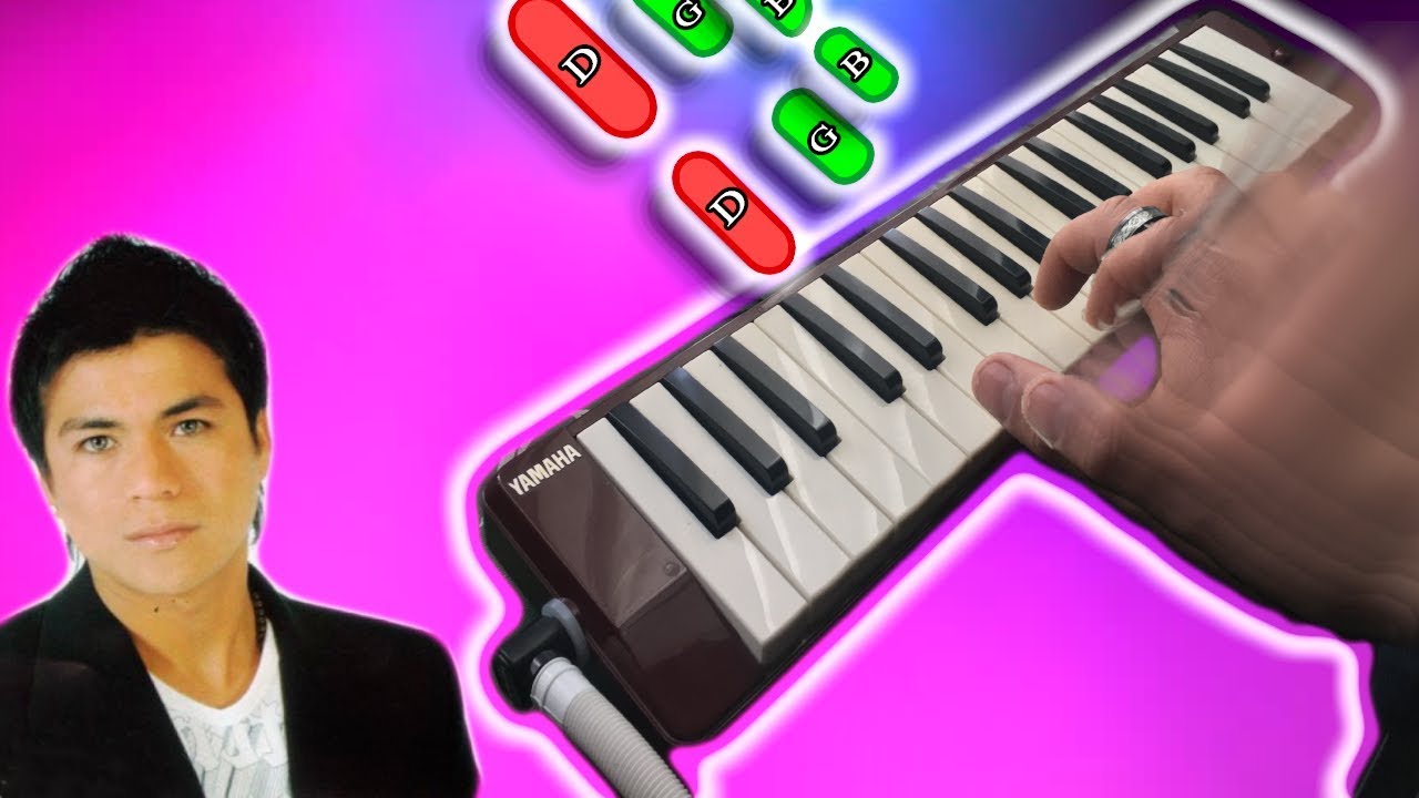 mujeres y cerveza - alegria 🎹 tutorial MELODICA CUMBIA (melodica♣chan)