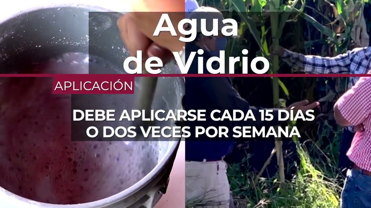 02 Agua De Vidrio