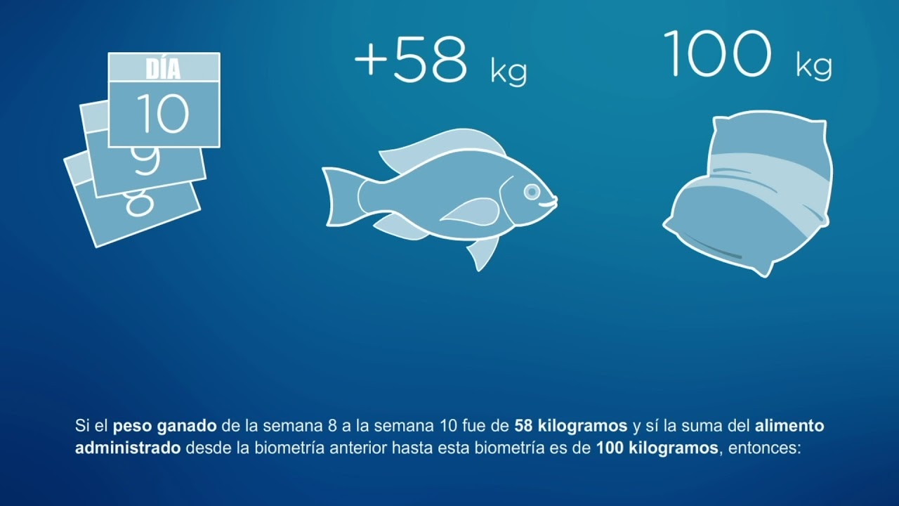 4 5 Factor de Conversión alimenticia