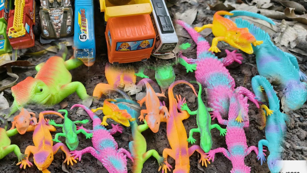Walking Adventure to Find Toy Animals and Toy Cars
