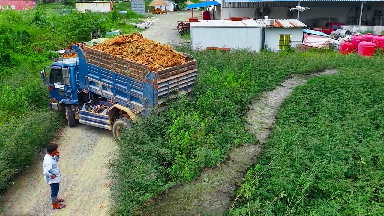 Amazing First Start! Strong Dozer & 5T Dump Truck Unloading Soil