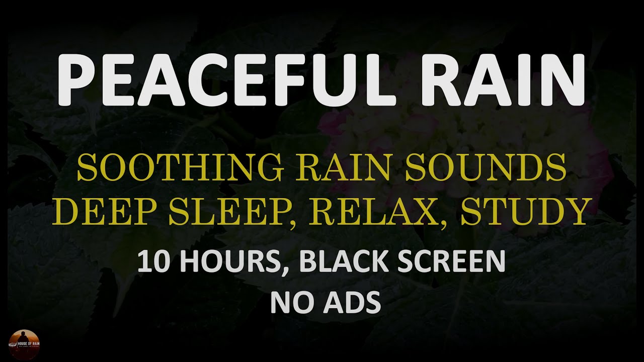 NO ADS, Peaceful Rain Sounds for Deep Sleep, Heavy Rain Sounds 10 Hours Black Screen, Relaxing Rain