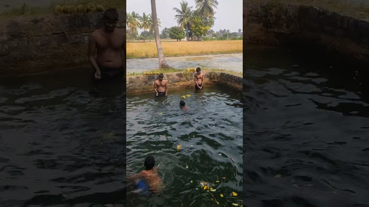 நீச்சலிலஅ அடித்து தேங்காய் எடுத்து வரும் போட்டி