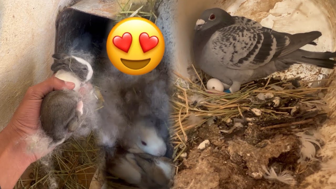 انتاج حلالي الشهر هاذا😍