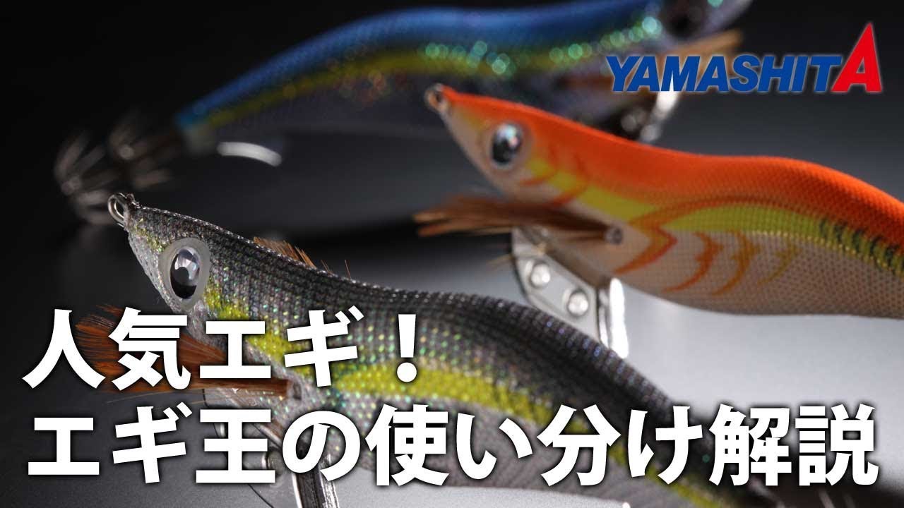 「エギ王シリーズの使い分け」をYAMASHITAエギングマイスター川上英佑が語る
