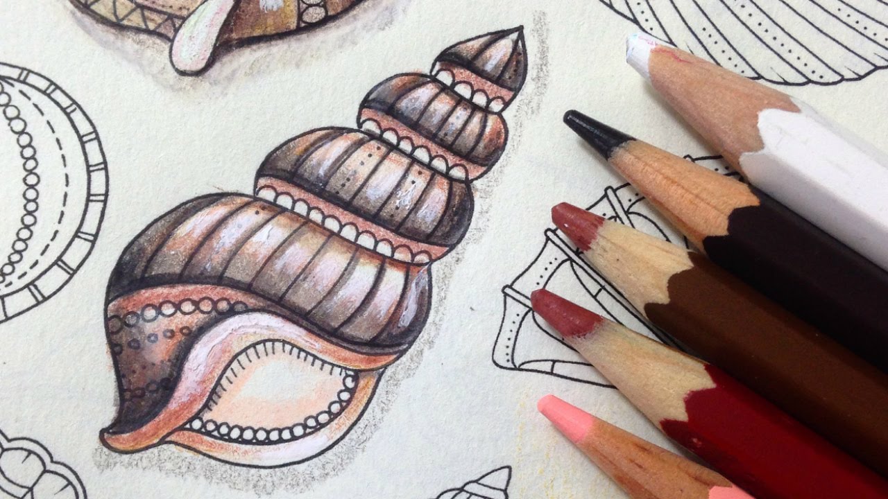 Concha - Oceano Perdido - Shell - Lost Ocean