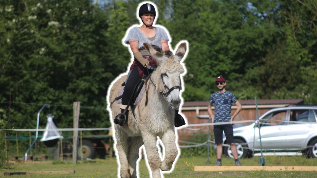 CCEA 2023 : NOTRE PREMIÈRE REPRISE DE DRESSAGE !