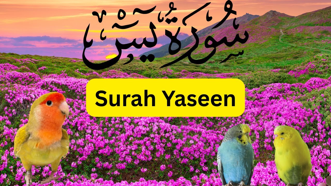Surah Yaseen | Heart of the Quran | Beautiful & Peaceful Recitation #surahyaseen