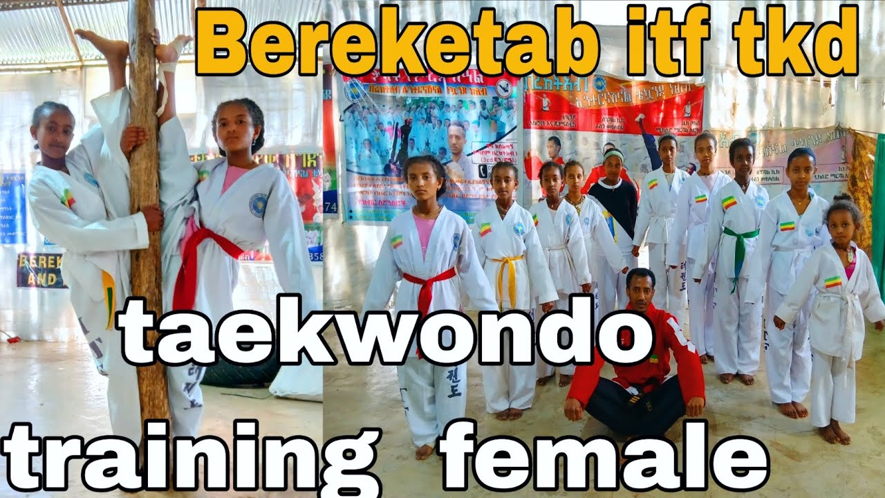  taekwondo training  female/💪💪💪💪💪💪💪💪💪