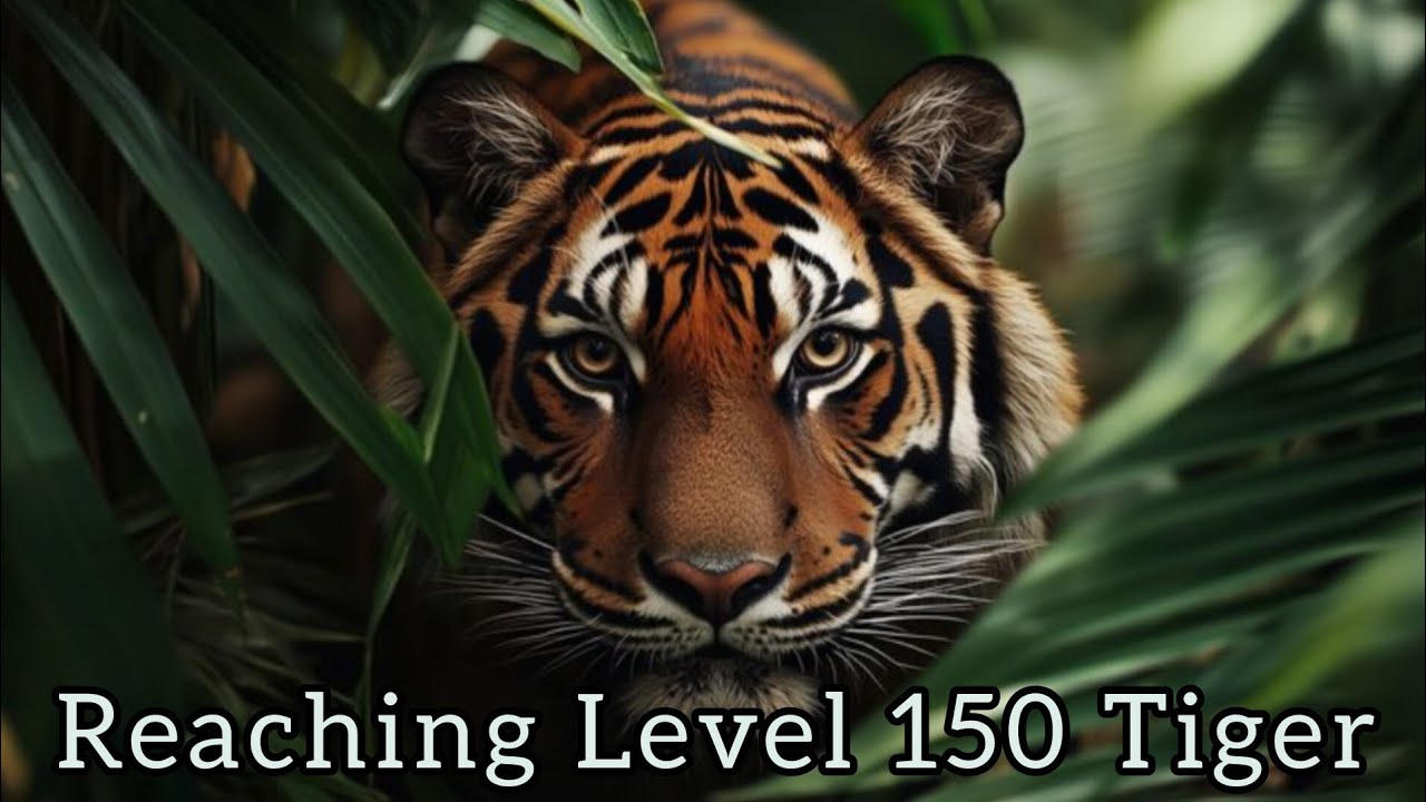 Достижение 150-го уровня Тигра | WildCraft