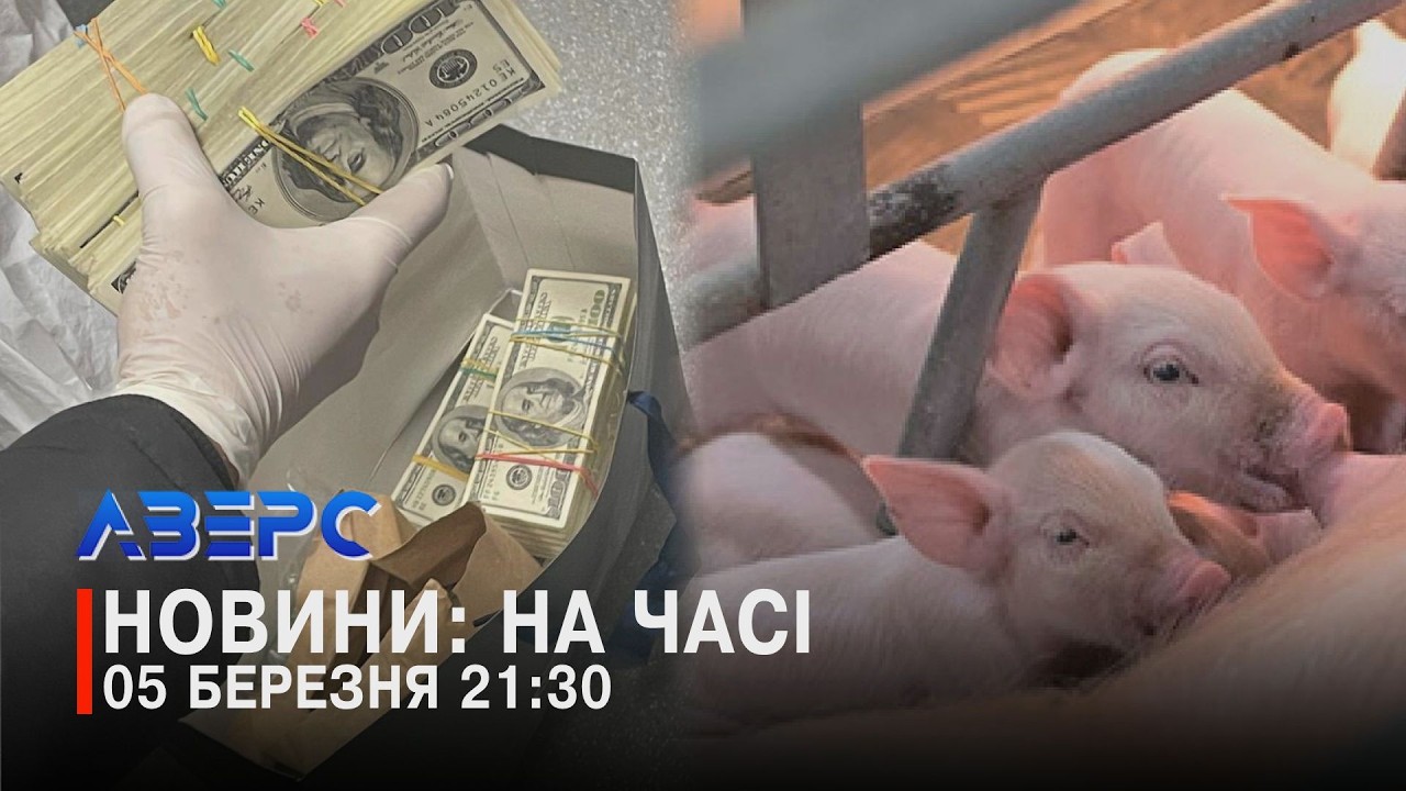 СХЕМА НА МИТНИЦІ. СВИНЯЧЕ ДІЛО. АРСЕНАЛ В ГОРОДІ ВОЛОНТЕРА