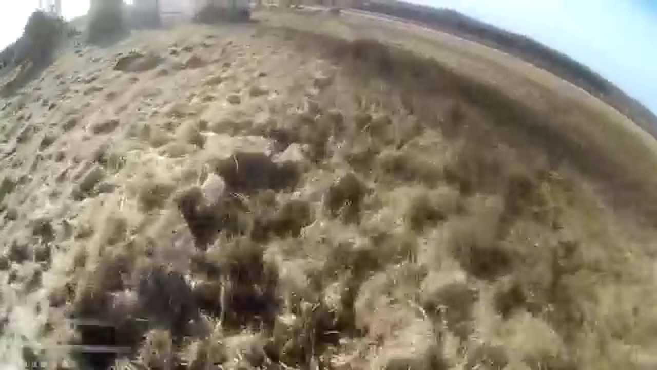 ZMR250 FPV low and fast Virsbo