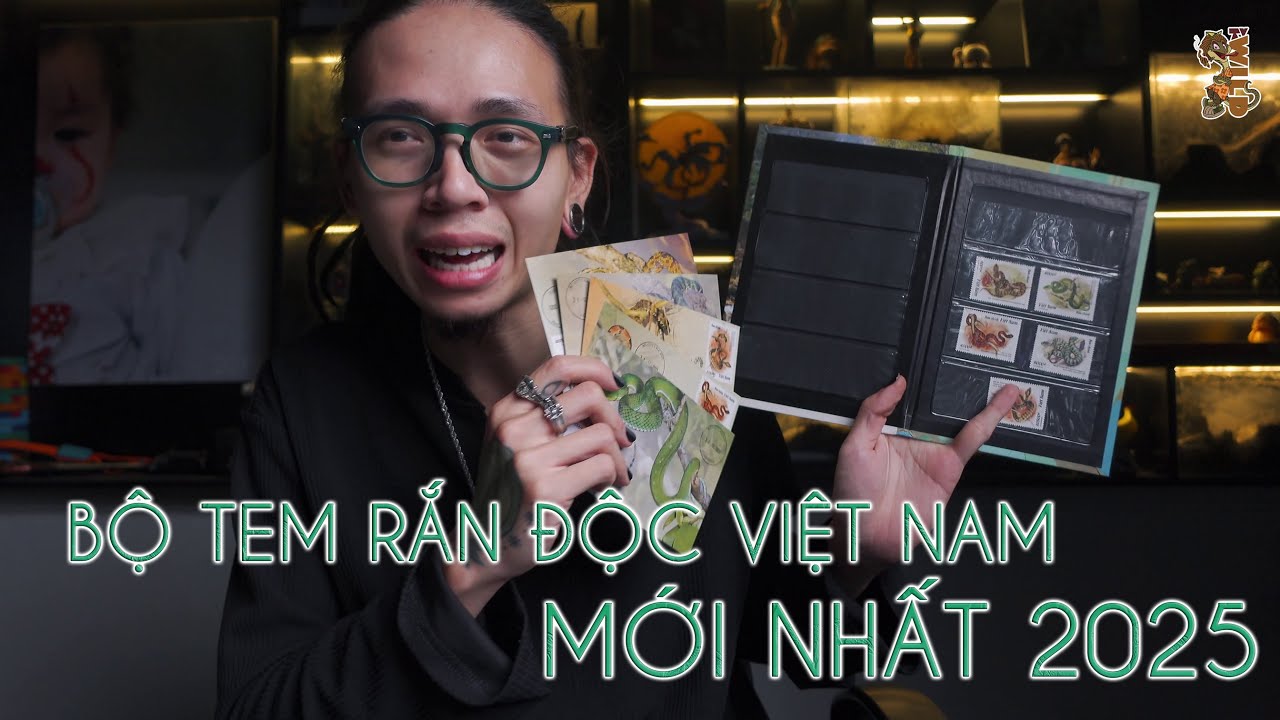 Bộ tem rắn độc Việt Nam mới nhất 2025 | WILDVN TV
