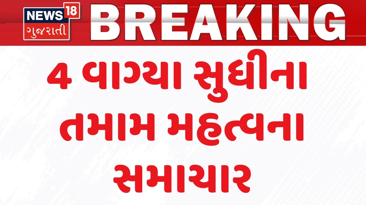 Gujarat Breaking News |  4 વાગ્યા સુધીના તમામ મહત્વના સમાચાર | Breaking News | News of The Day