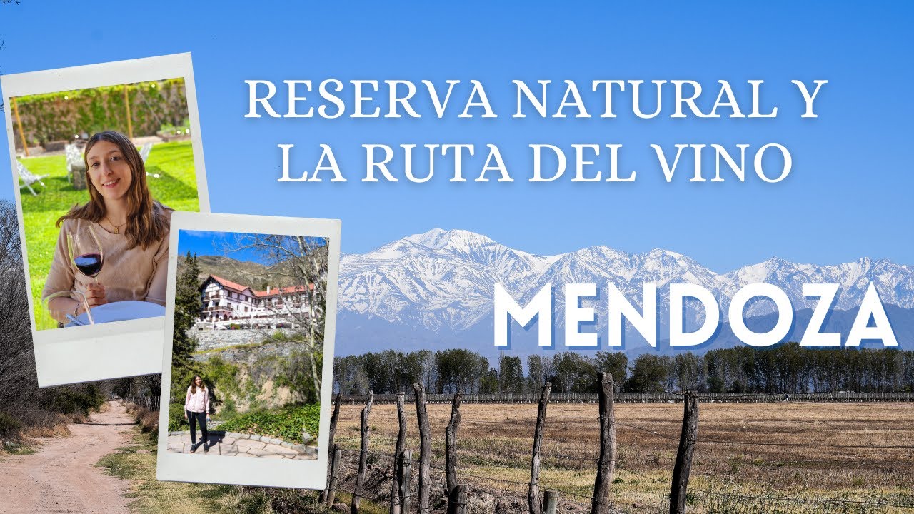 Visita a la RESERVA de Villavicencio y recorrido por BODEGAS y VIÑEDOS en el Valle de Uco, Mendoza 🍇