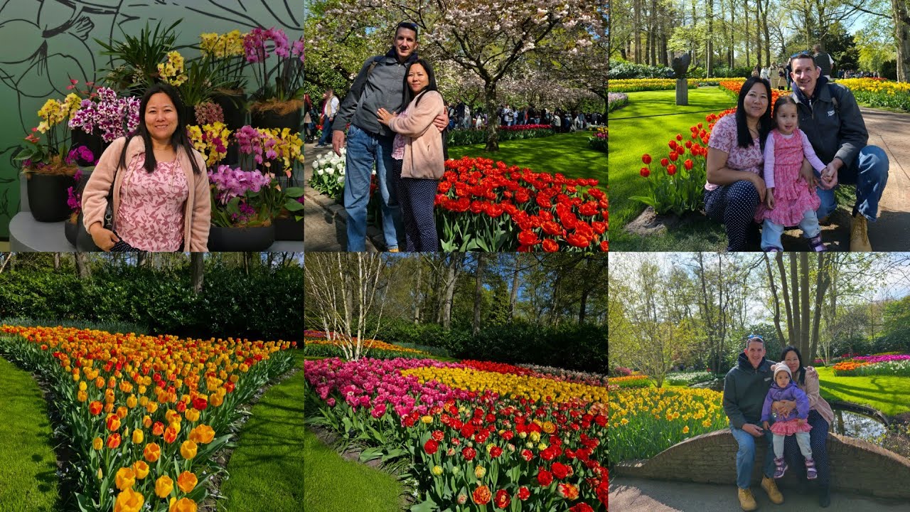 Its my first time||a woman from Wokha, Nagaland, visits Amsterdam's world-famous Tulip Garden!😍🥰