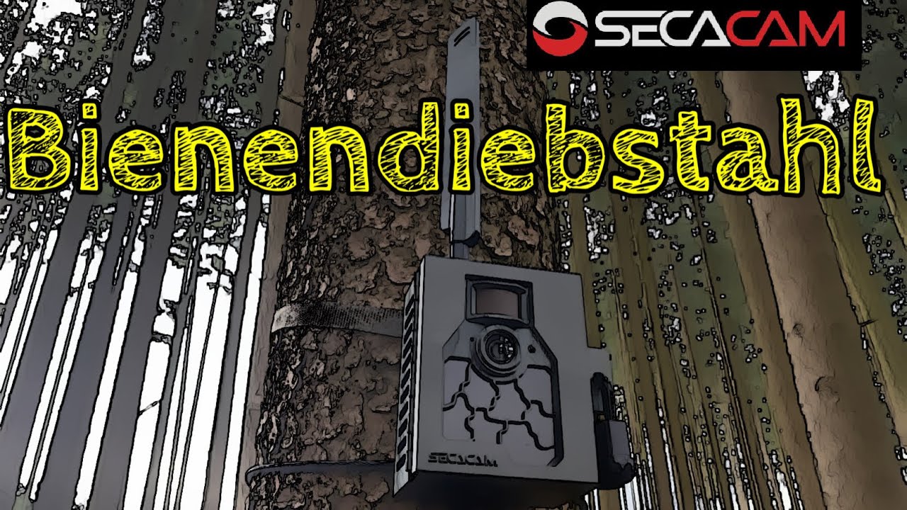Bienendiebstahl! Imkern ! Bienen ! 𝐒𝐄𝐂𝐀𝐂𝐀𝐌