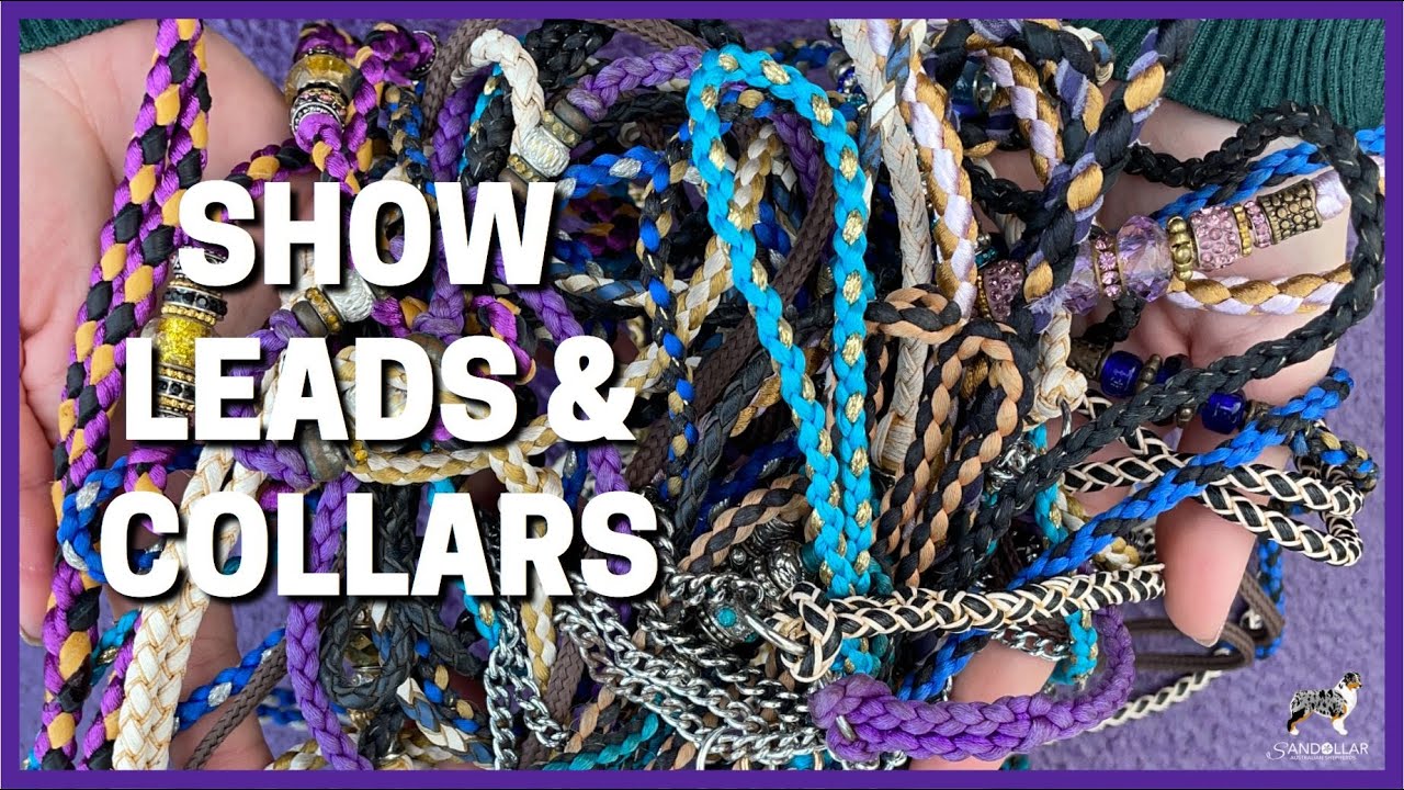 Show Leads & Collars