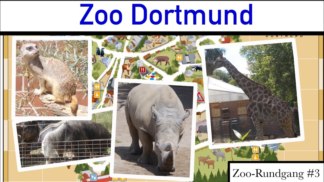 Zoo Dortmund 2020 🐆🦥 | Zoo-Rundgang #3