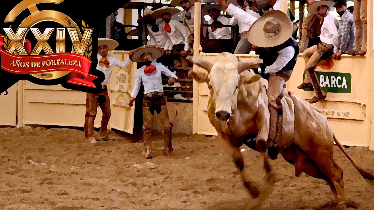 JINETES vs TOROS de REPARO - Jineteo de Toro dia 26 - Campeonato Millonario 2021 THV